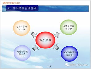 企业精益管理 提升效率与竞争力的核心指南